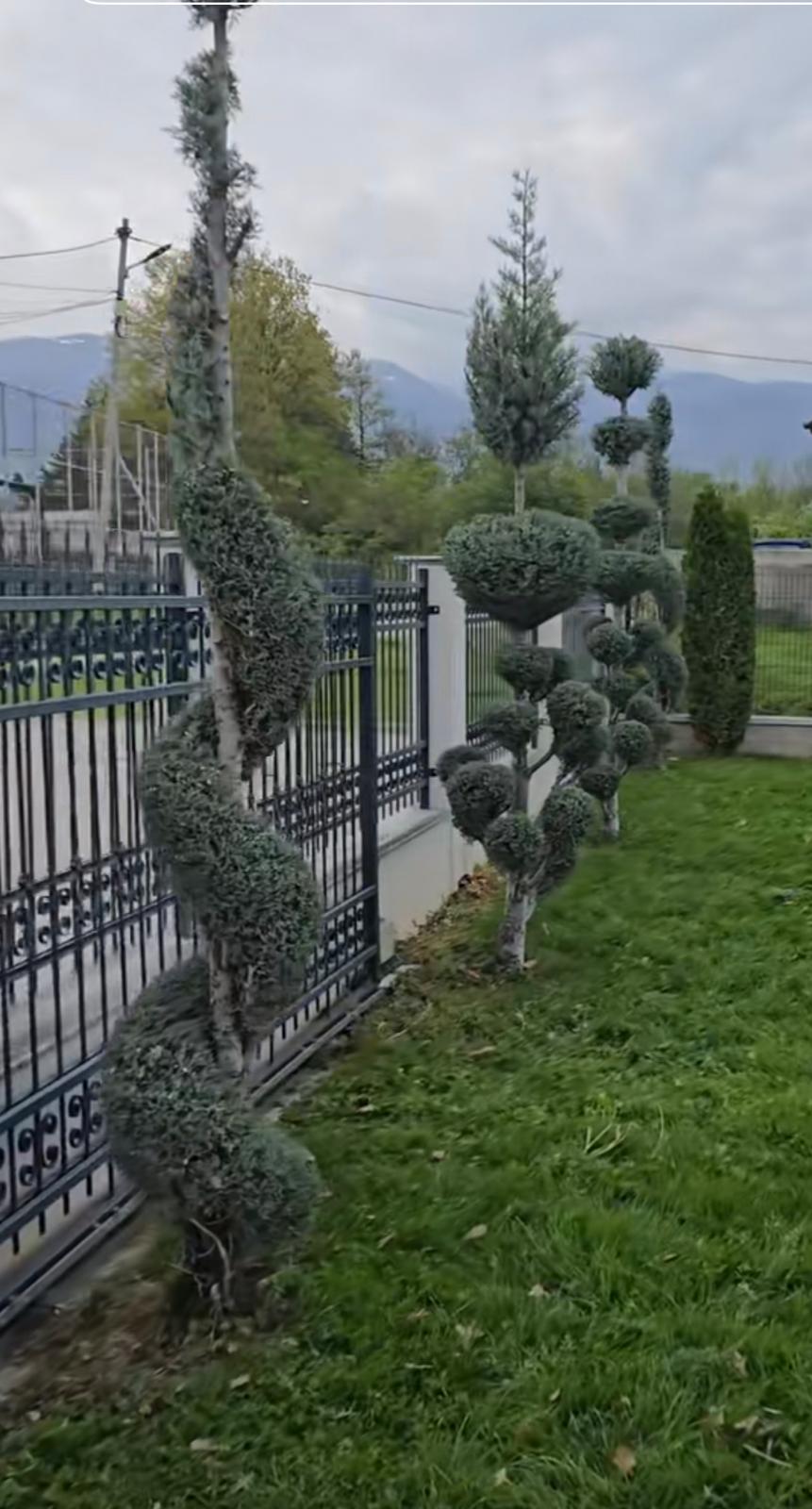 Referenz Garten- und Geländepflege Vorschau